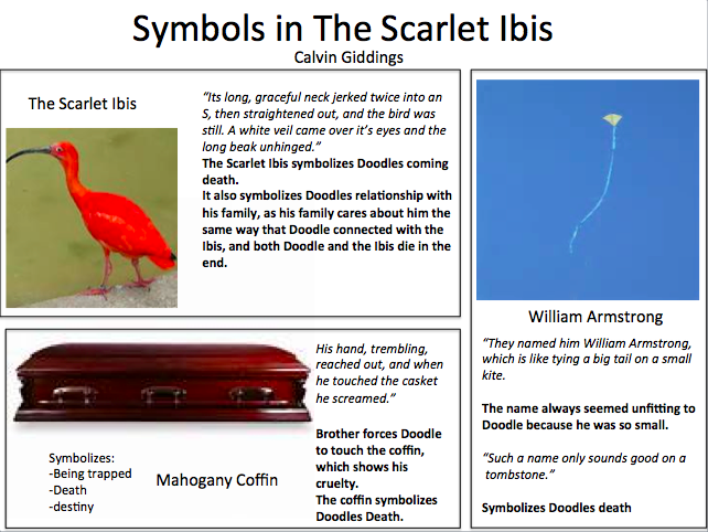 the scarlet ibis essay
